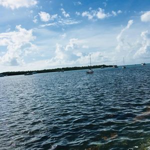 Meet your Posher, Taam